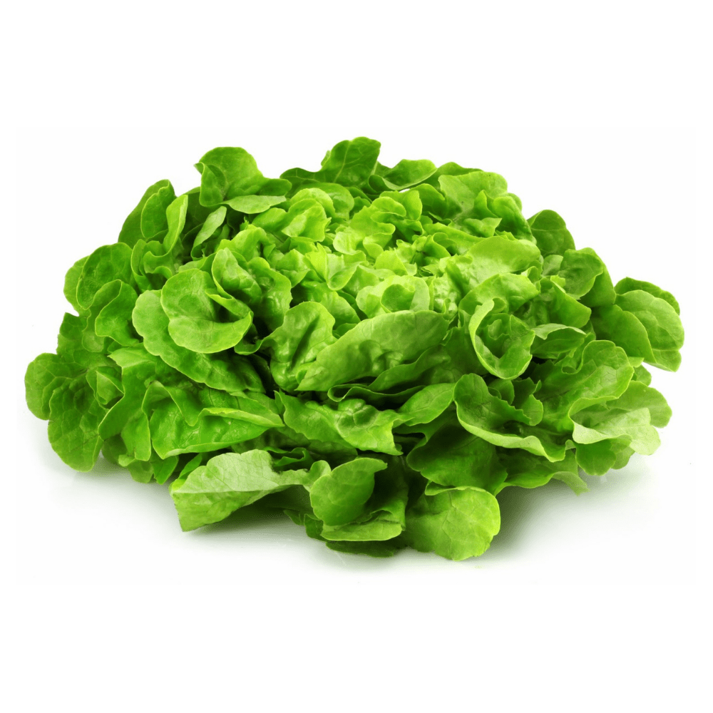 ▢ Feuille de ch. verte