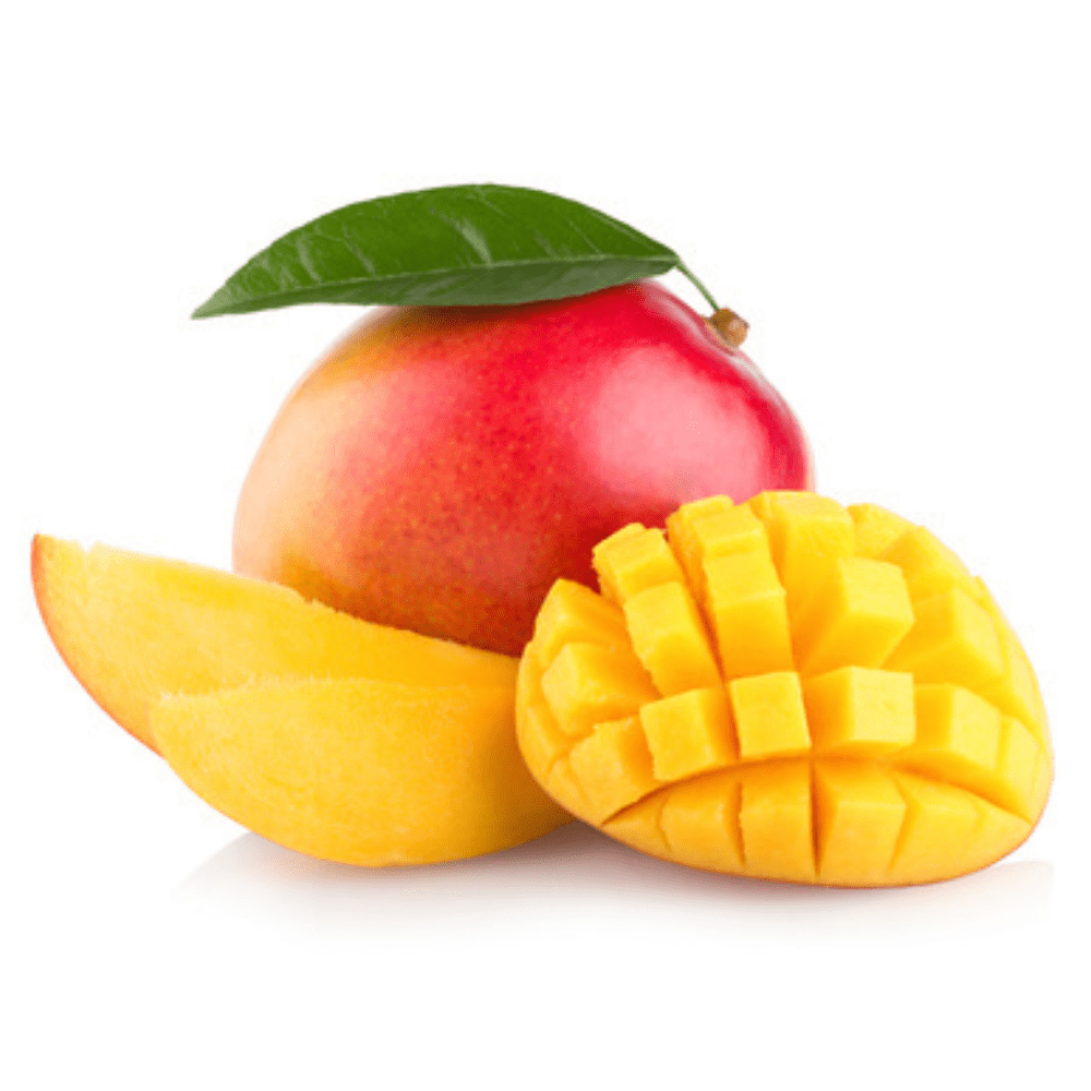 ▢ Mangue bateau