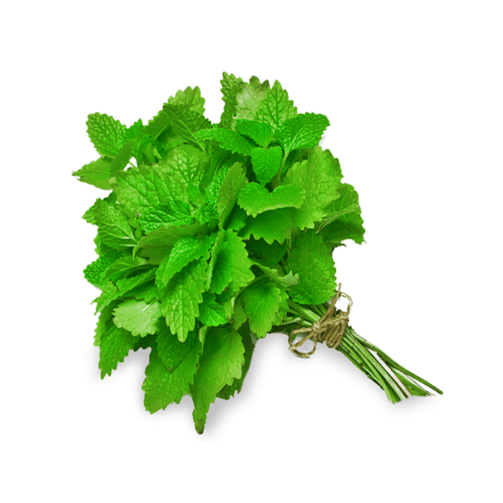 ▢ Menthe