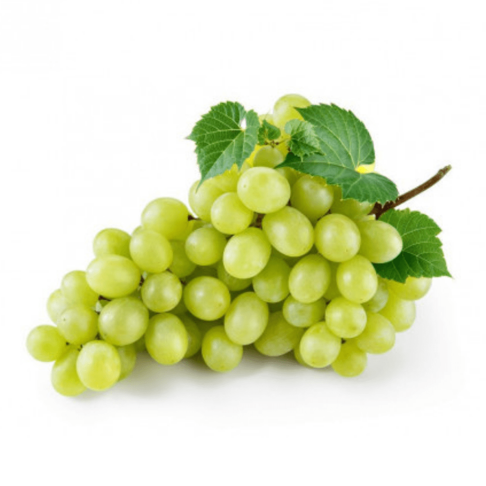 ▢ Seedless blanc
