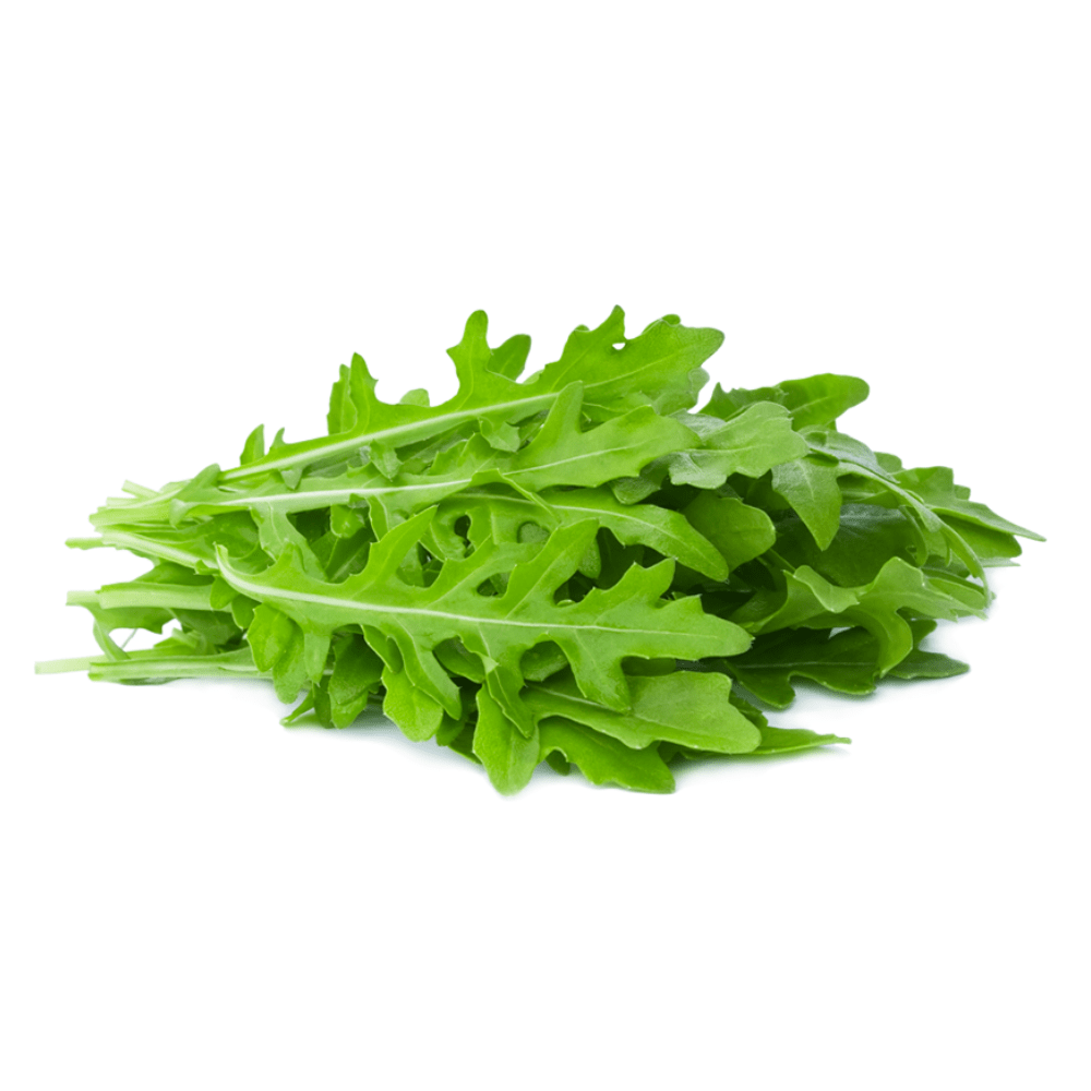 ▢ Roquette