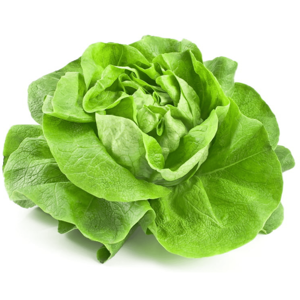▢ Salade laitue