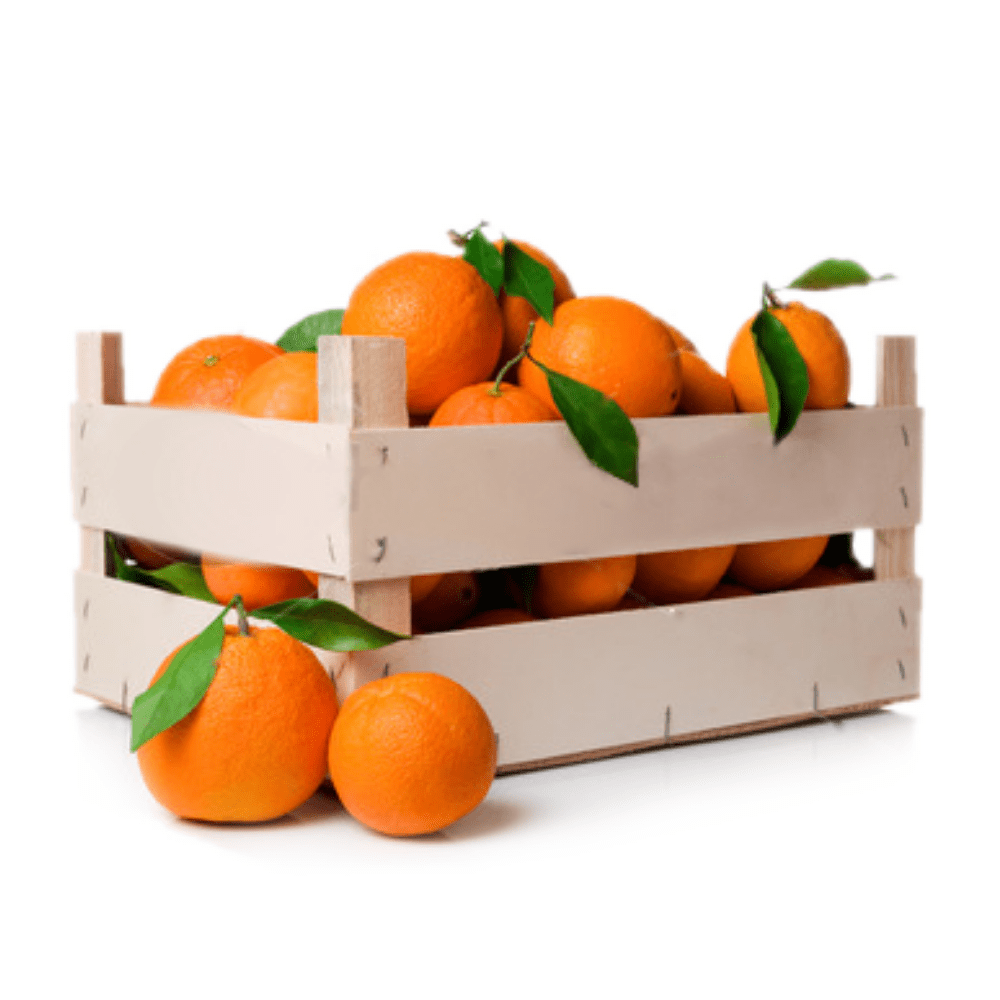 ▢ Orange à jus 10kg