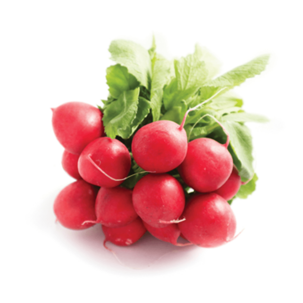 ▢ Radis rouges
