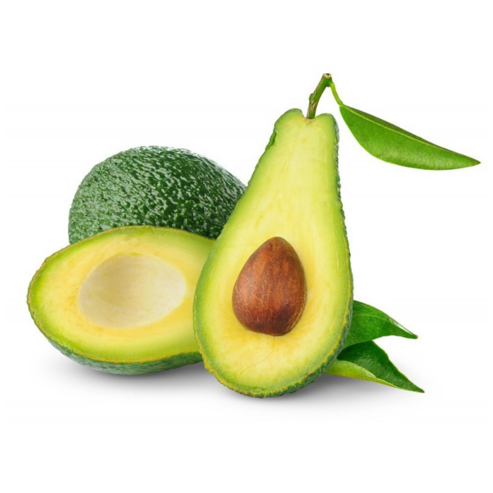 ▢ Avocat