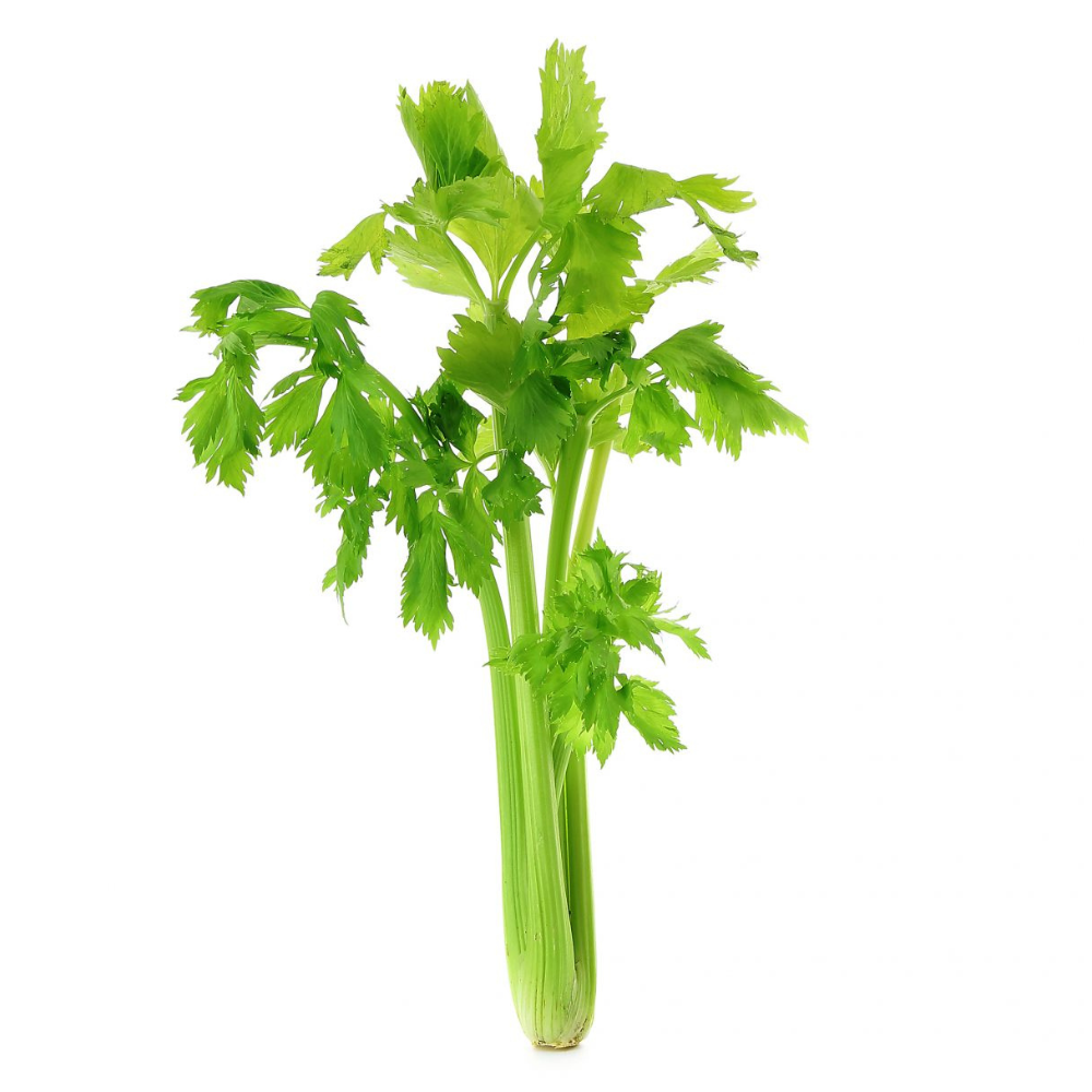 ▢ Céleris vert