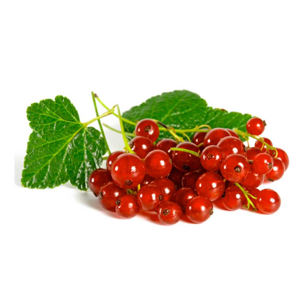 ▢ Groseilles rouges