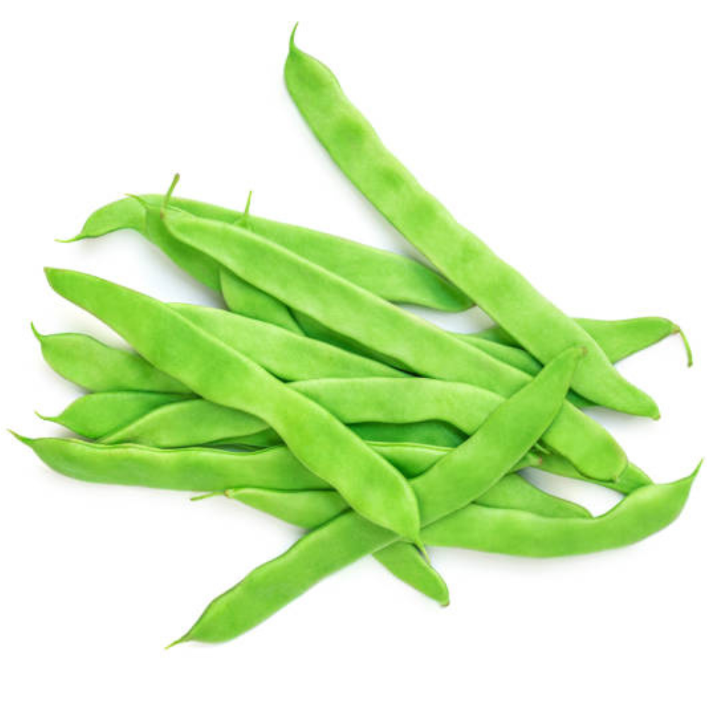 ▢ Haricot plat (500g)