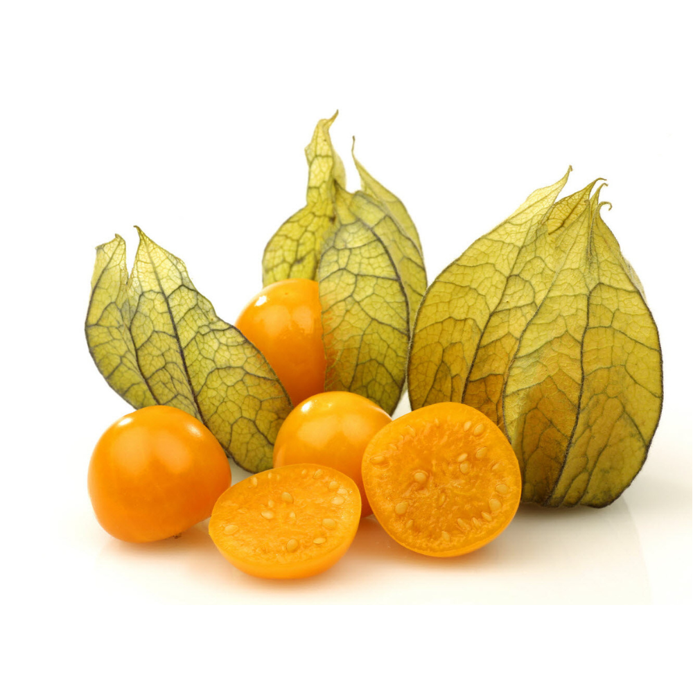 ▢ Physalis (rav)