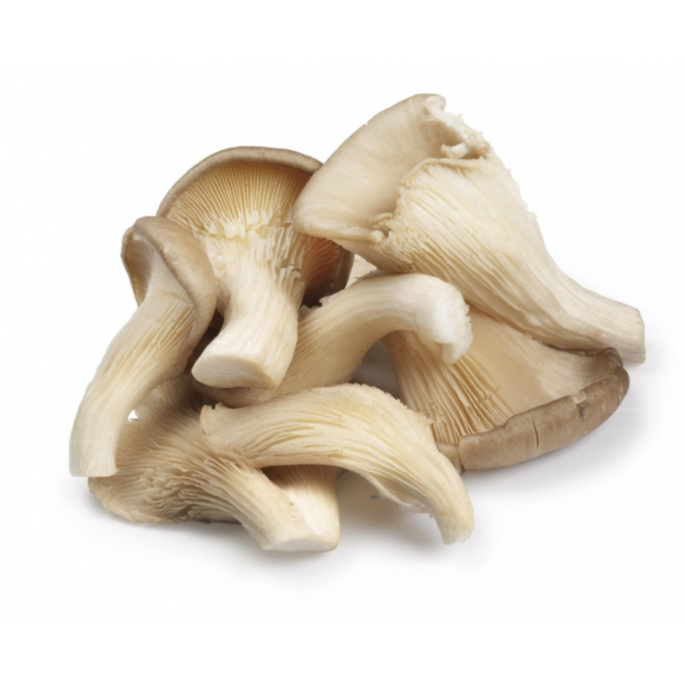 ▢ Pleurotes (250g)