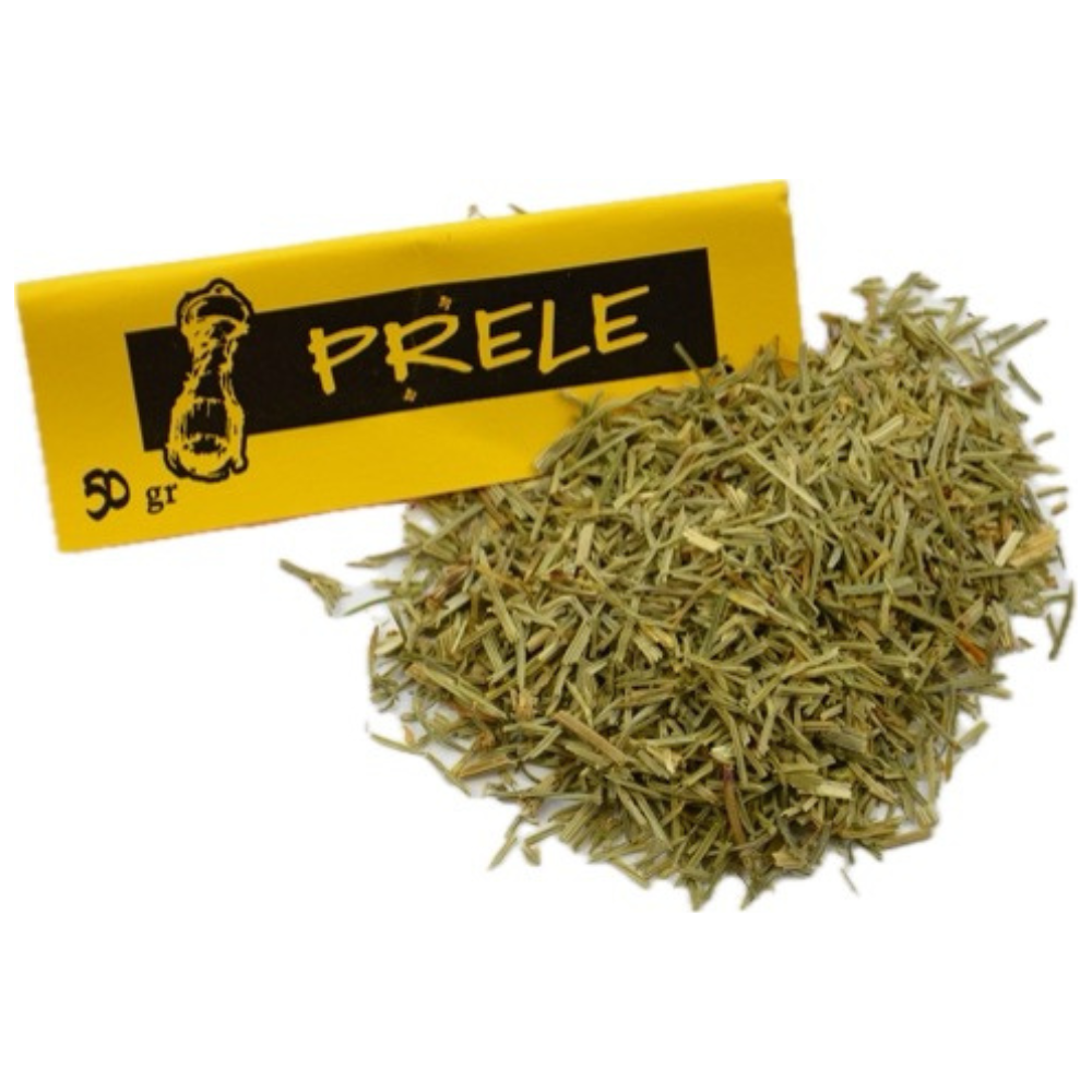Prêle des champs