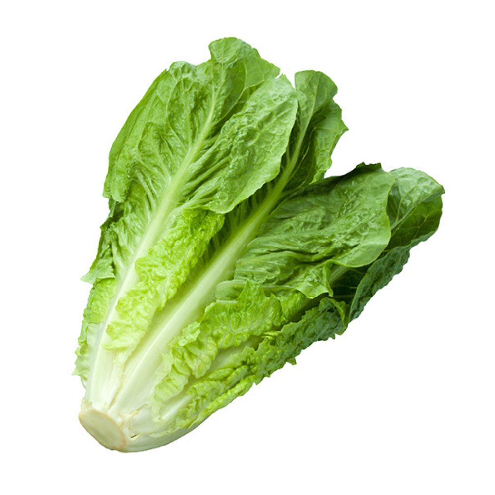 ▢ Salade romaine