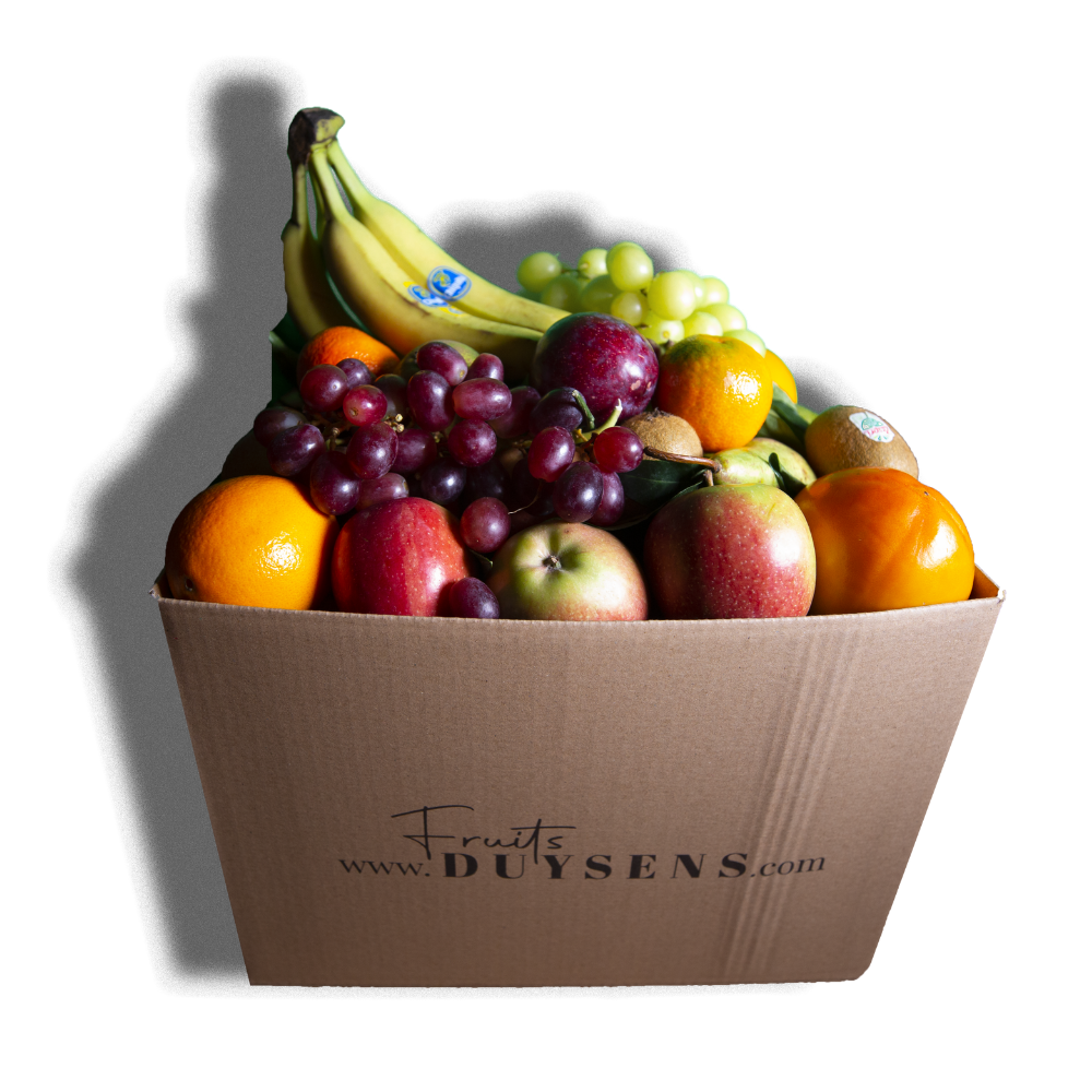 ▢ Season Box "L"
