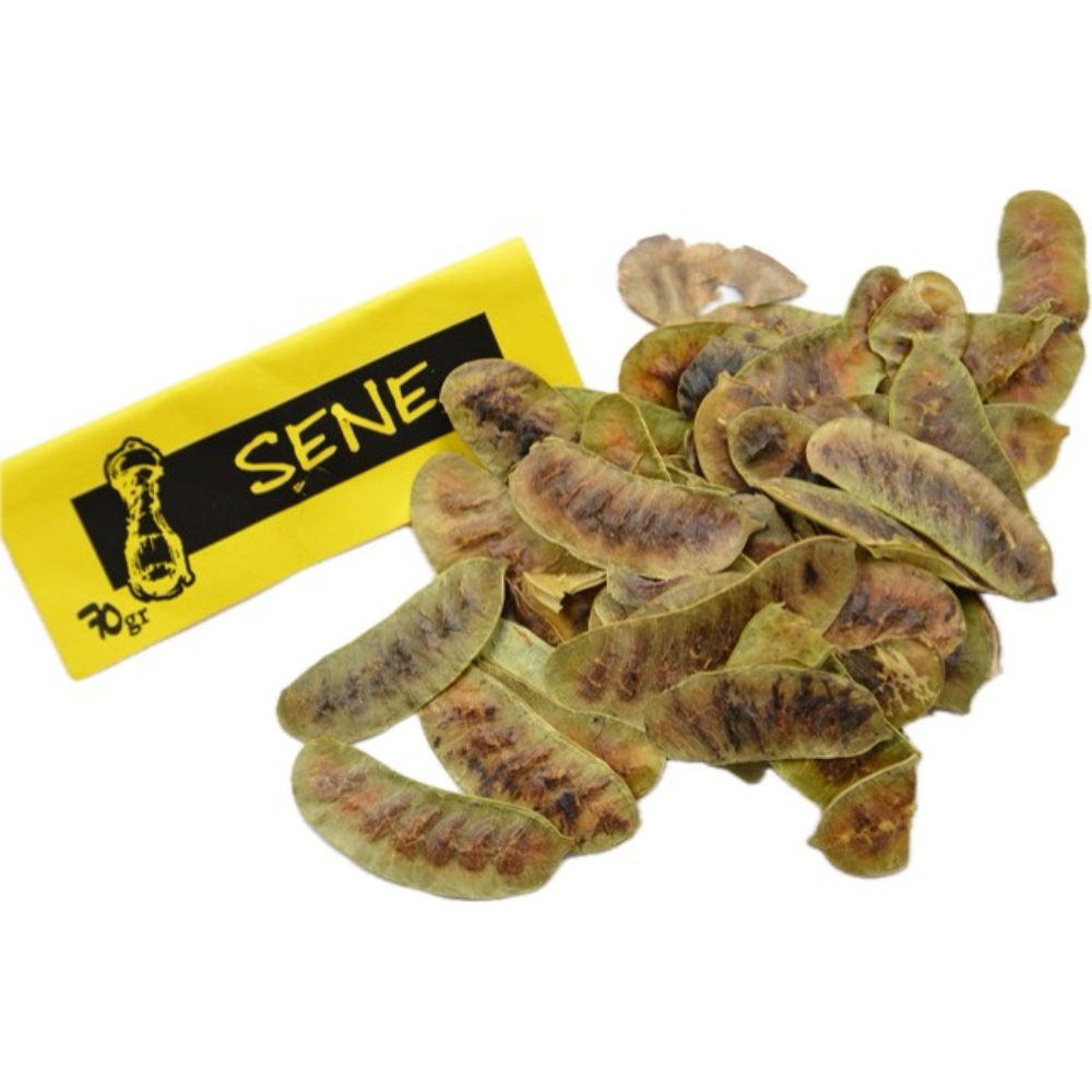 ▢ Sené