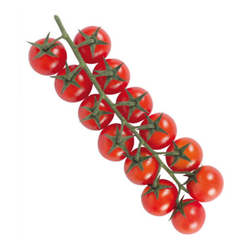 ▢ Juno (250gr)